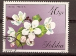 Stamps : Europe : Poland :  PERAL