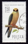 Stamps Poland -  Falco vespertinus