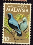 Stamps Malaysia -  Murai