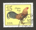 Stamps Germany -  aves de corral de raza, kraienkopp