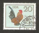 Stamps Germany -  aves de corral de raza, bantam