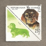 Stamps Africa - Guinea -  Perro teckel