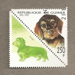 Sellos del Mundo : Africa : Guinea : Perro teckel