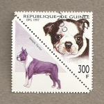 Stamps Guinea -  Perro terrier de boston