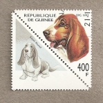 Stamps : Africa : Guinea :  Perro Basset