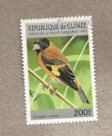 Stamps : Africa : Guinea :  Ave Carduelis cullata