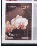 Stamps Spain -  Edifil  3871   La flor y el paisaje.  