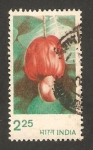Stamps India -  nuez del caoba