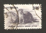 Sellos de Asia - India -  nutrias indias