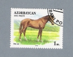 Stamps : Asia : Azerbaijan :  caballos