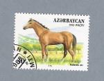 Sellos del Mundo : Asia : Azerbaijan : Caballos