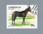 Stamps : Asia : Azerbaijan :  Caballos