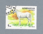 Stamps : Asia : Azerbaijan :  Caballos