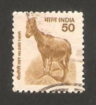 Sellos de Asia - India -  1535 - tahr de nilgiri