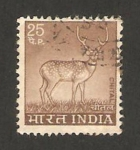 Sellos de Asia - India -  402 - fauna, chital