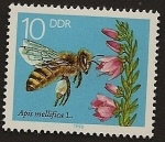 Sellos de Europa - Alemania -  Abeja