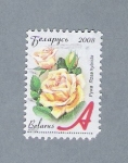 Stamps : Europe : Belarus :  Rosa Blanca