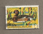 Stamps Yugoslavia -  Pato Aythya