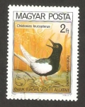 Stamps Hungary -  Ave, chlidonias leucopterus