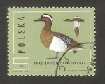 Stamps Poland -  proteccion de la fauna, pato anas querquedula