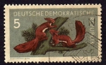Stamps Germany -  Ardillas