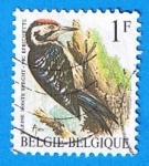 Stamps Belgium -  Kleine Bonte Specht -pic Epeichette