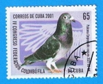 Stamps : America : Cuba :  Paloma Enpedrado Oscuro