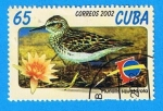 Stamps : America : Cuba :  Plurialis Squatarola