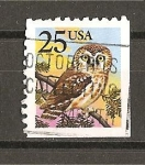 Stamps : America : United_States :  Serie Basica - Mochuelo.