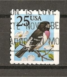 Stamps United States -  Serie Basica.- Pico Gordo.