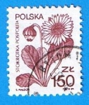 Stamps Poland -  Stokrotka Pospolita