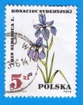 Stamps Poland -  Iris Sidinica