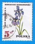 Sellos de Europa - Polonia -  Iris Sidinica