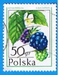 Stamps Poland -  Moras