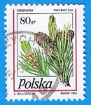 Stamps Poland -  Piñas