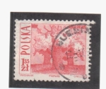 Stamps Poland -  Rogalinskie