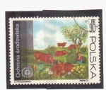 Stamps Poland -  Protección de la Naturaleza