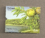 Stamps Portugal -  Azore, Cedro de las islas