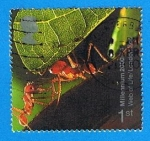 Stamps United Kingdom -  Hormigas