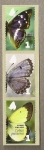 Stamps : Europe : Finland :  Mariposas