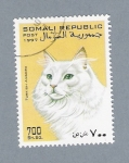Stamps : Africa : Somalia :  Gato de Angora