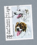 Stamps Somalia -  Perros