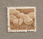 Stamps India -  Pollito saliendo cascarón
