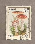 Stamps Laos -  Seta Amanita muscaria