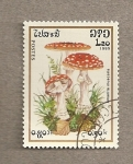 Sellos de Asia - Laos -  Seta Amanita muscaria