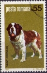 Stamps Romania -  Saint Bernard