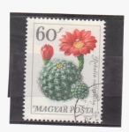 Stamps Hungary -  serie- Plantas