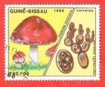 Stamps : Africa : Guinea_Bissau :  Amanita muscaria