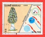 Stamps Guinea Bissau -  Morohella