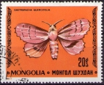 Sellos de Asia - Mongolia -  Gastropacha quercifolia